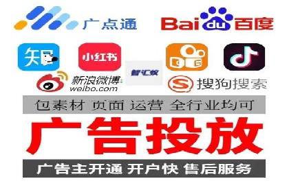 竞价广告在XX行业的成功应用案例